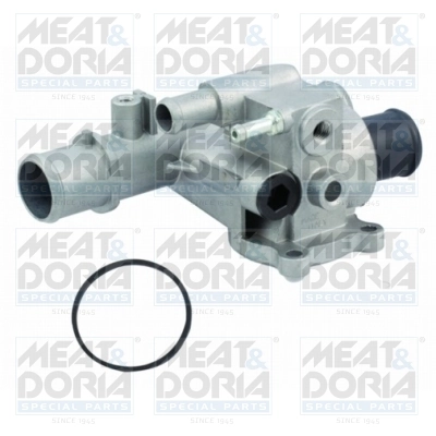 Thermostat, coolant